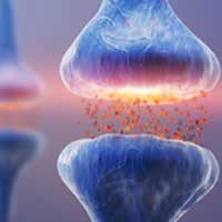 Audifort Ingredient6